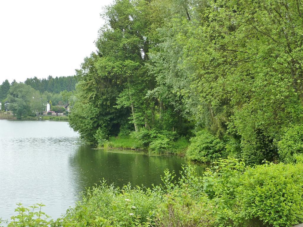 Business + Life Apartment Ferienwohnung Ransbach-Baumbach Eksteriør billede